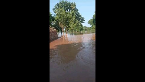 floodarea Chenab rever