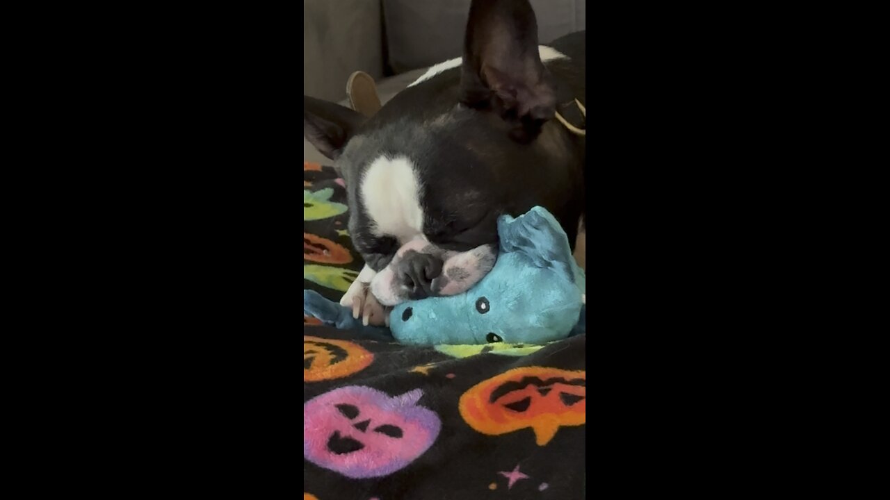 Hercules and His Binky | 4K