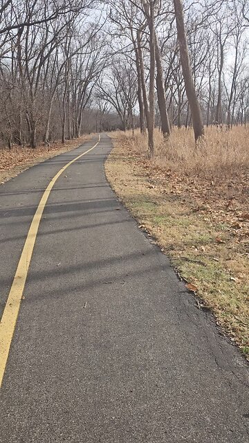 Deer Leaping Away from Me