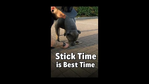Stick time is best time 🐾😄“