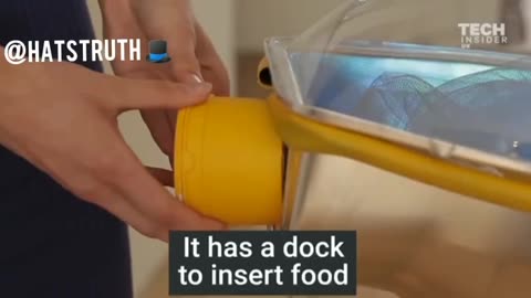 These are fetus pods the tech companies are currently developing. These could be used