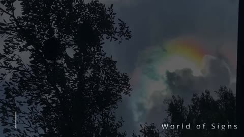 Earth in Chaos - What's Happening? - Dec.2025 Pt.1 - Reloaded from World of Signs