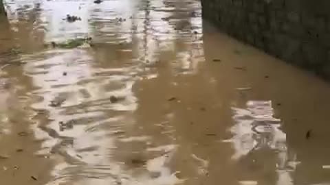 Flood Hoang Van Viet Nam