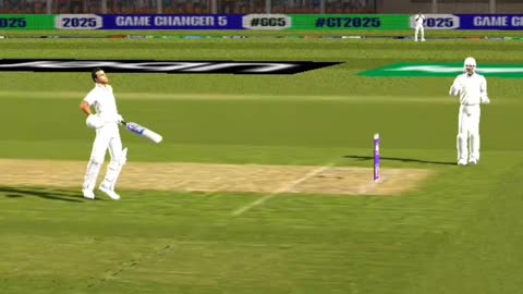Cricket game century