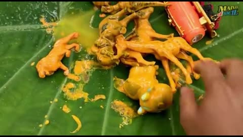 cleaning singa harimau kerbau kuda gajah bebek buaya kuda Nil dinosaurus kodok rakun Part 2