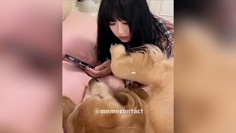 Dogesh Sir in Love 🐶😂