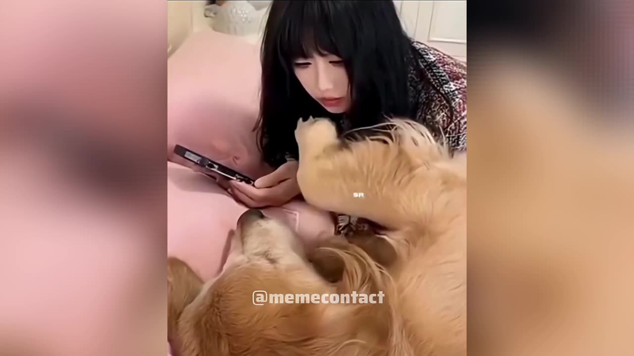 Dogesh Sir in Love 🐶😂