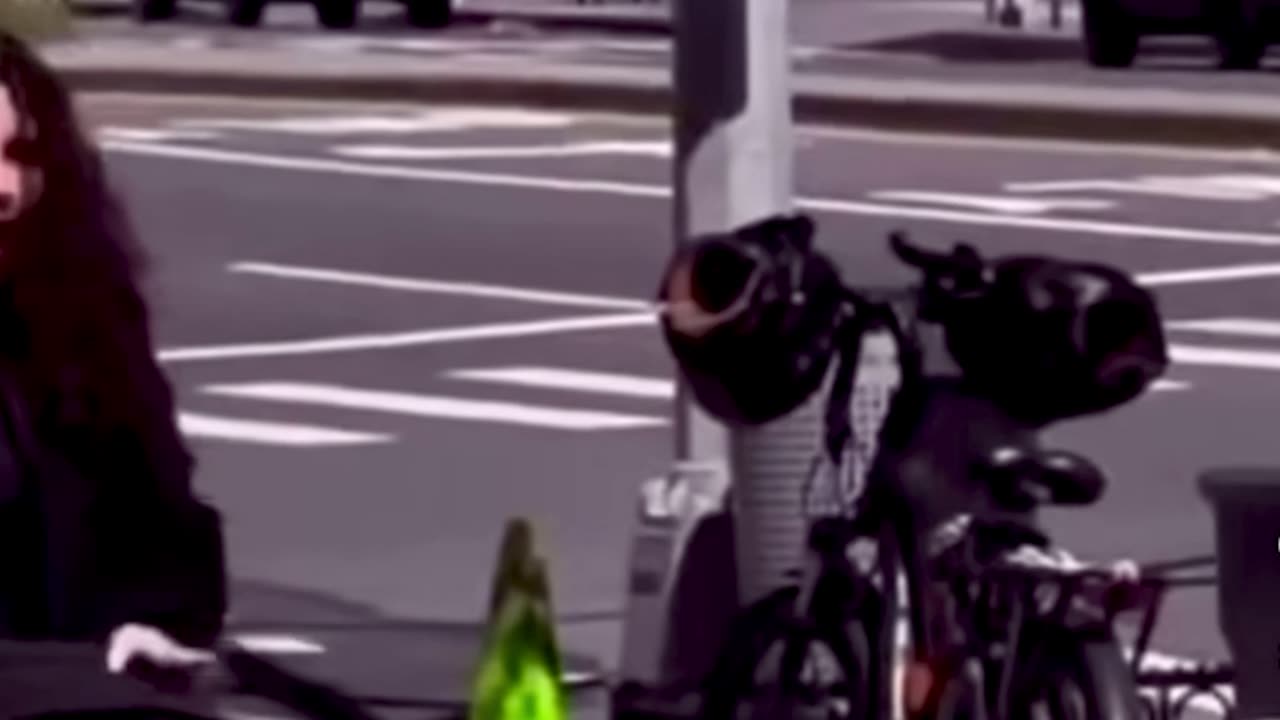 Hippo sheboon spits in humans face for no reason