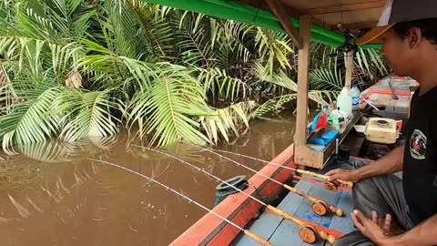 Nemu Lokasi Udang Gacor