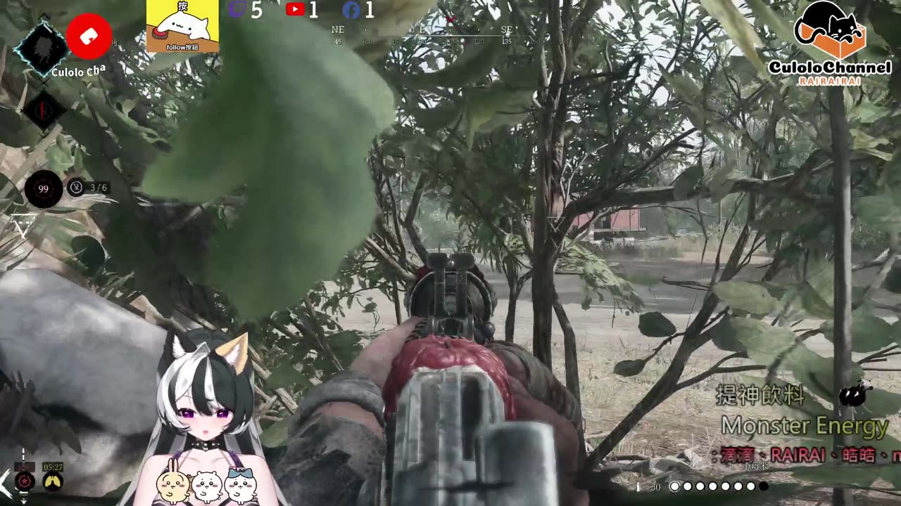 🌱vs🧟‍♀️ New version⭐新手向⭐🥺倉鼠系玩家🥺| 來聊天R ✨💎(๑˃̵ᴗ˂̵)و Culolo Channel(๑˃̵ᴗ˂̵)و 5 Taiwan優質台💎✨