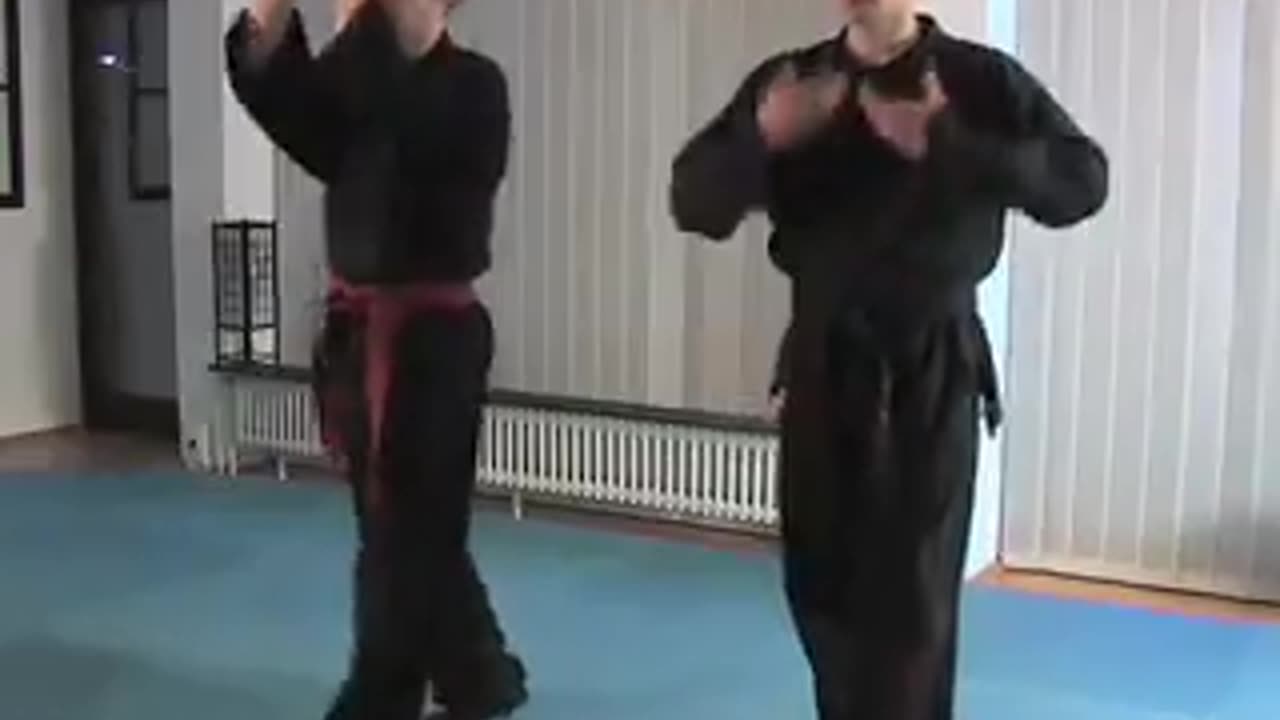 Ninjutsu Trailer - Kurokumo Bushido Academy