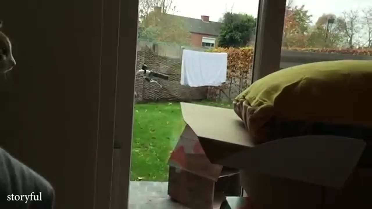 TRY NOT TO LAUGH 😆 Best Funny Videos Compilation 😂😁😆 Memes.