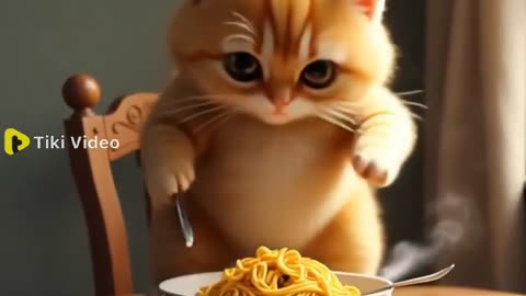 Cat eat noodles then become angry #viral #rumble #trending