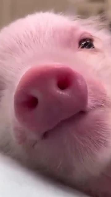 We All Need Smile For A Day