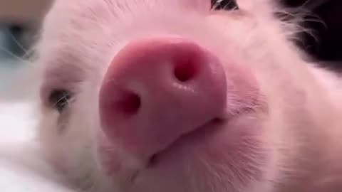 We All Need Smile For A Day