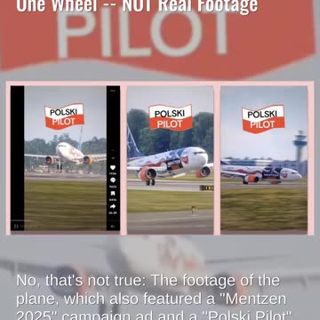 Fact Check: Video Game Clip Shows 'Polish Pilot' Landing Boeing 737 On One Wheel -- NOT Real Footage