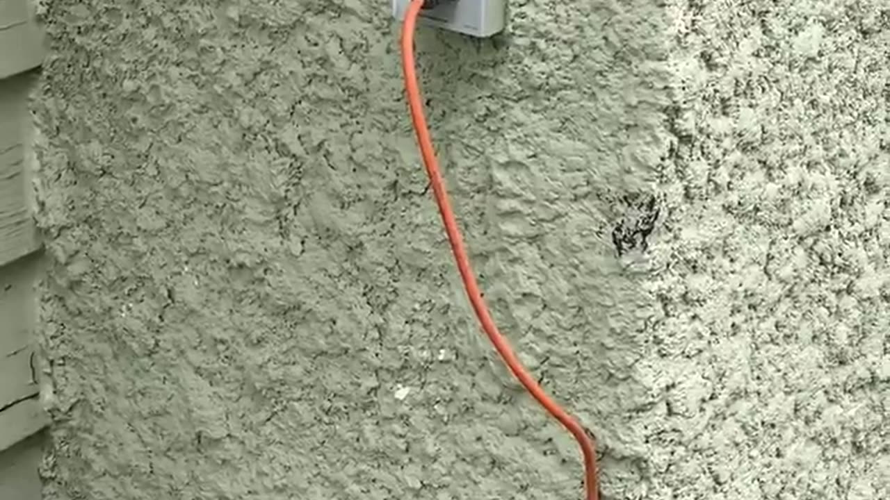 Winnipeg Landlord Finds Neighbours Stealing Electricity