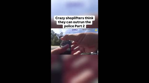 High-Stakes Pursuit: Shoplifters vs. Police in a Thrilling Car Chase