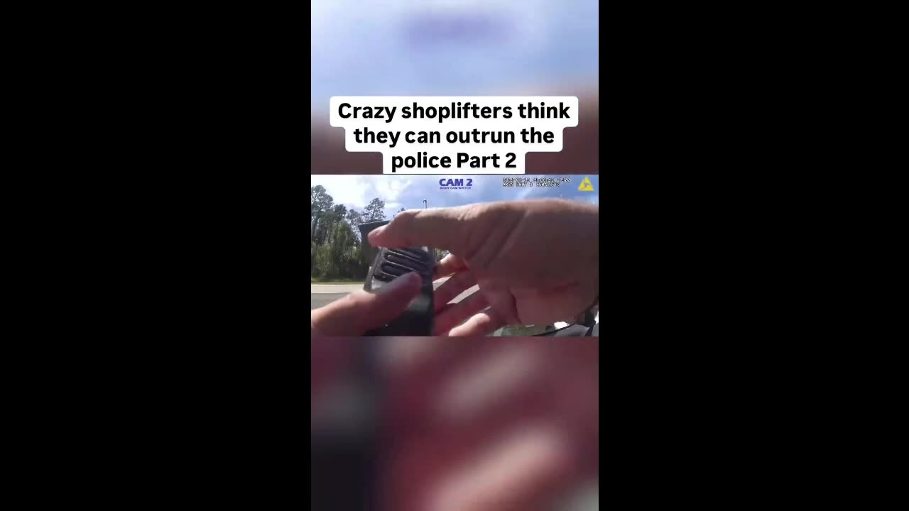 High-Stakes Pursuit: Shoplifters vs. Police in a Thrilling Car Chase
