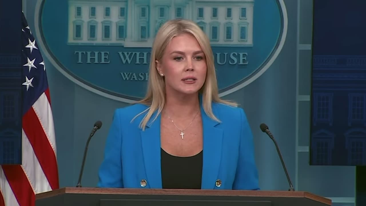 Karoline Leavitt Announces 330 Illegals Arrested for Involvement in LA Riots