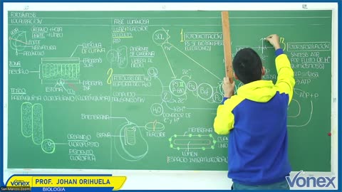 VONEX SEMIANUAL 2025 | Semana 05 | Biología