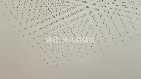 Drone formation returns home