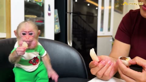 🍒 Lala & Chip Enjoy Lychees – Pure Joy and Laughter!