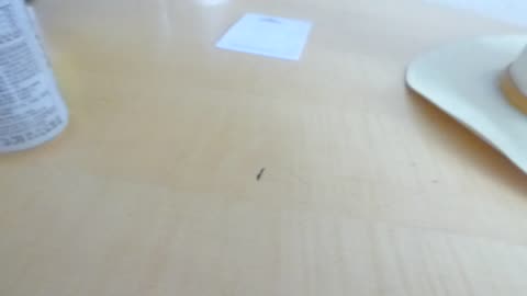 Bizarre marking on table