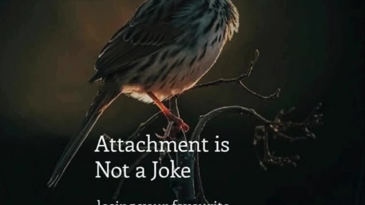 The Weight of Attachment