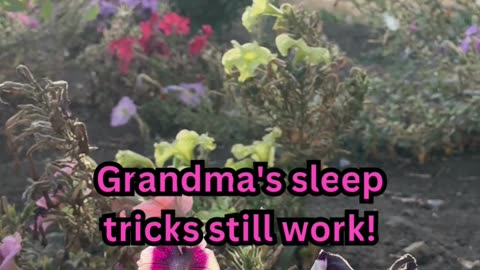 Deep Sleep Facts#AncientWisdom 📜 #SleepBetter 😴 #OldSchoolTips 🌙 #NapTime 🛏️ #ZenMode 🧘
