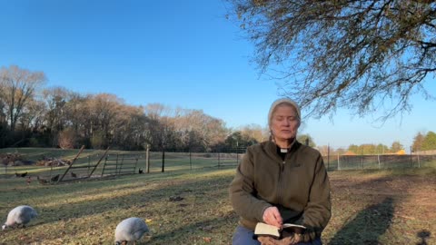 Morning Prayer, Daily Office