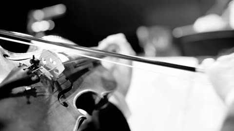 Auld Lang Syne — Sun Valley Quartet x CodaBow | Happy New Year from CodaBow