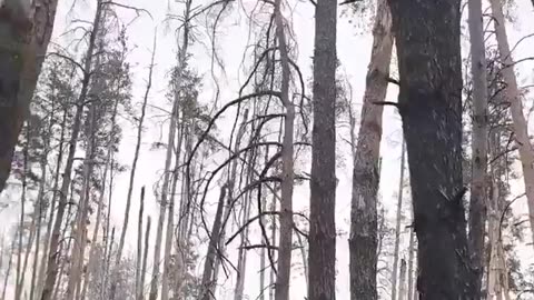 🔥💪 Ukraine Russia War | Ukrainian Soldiers Capture 7 Invaders in Serebryansky Forest | RCF