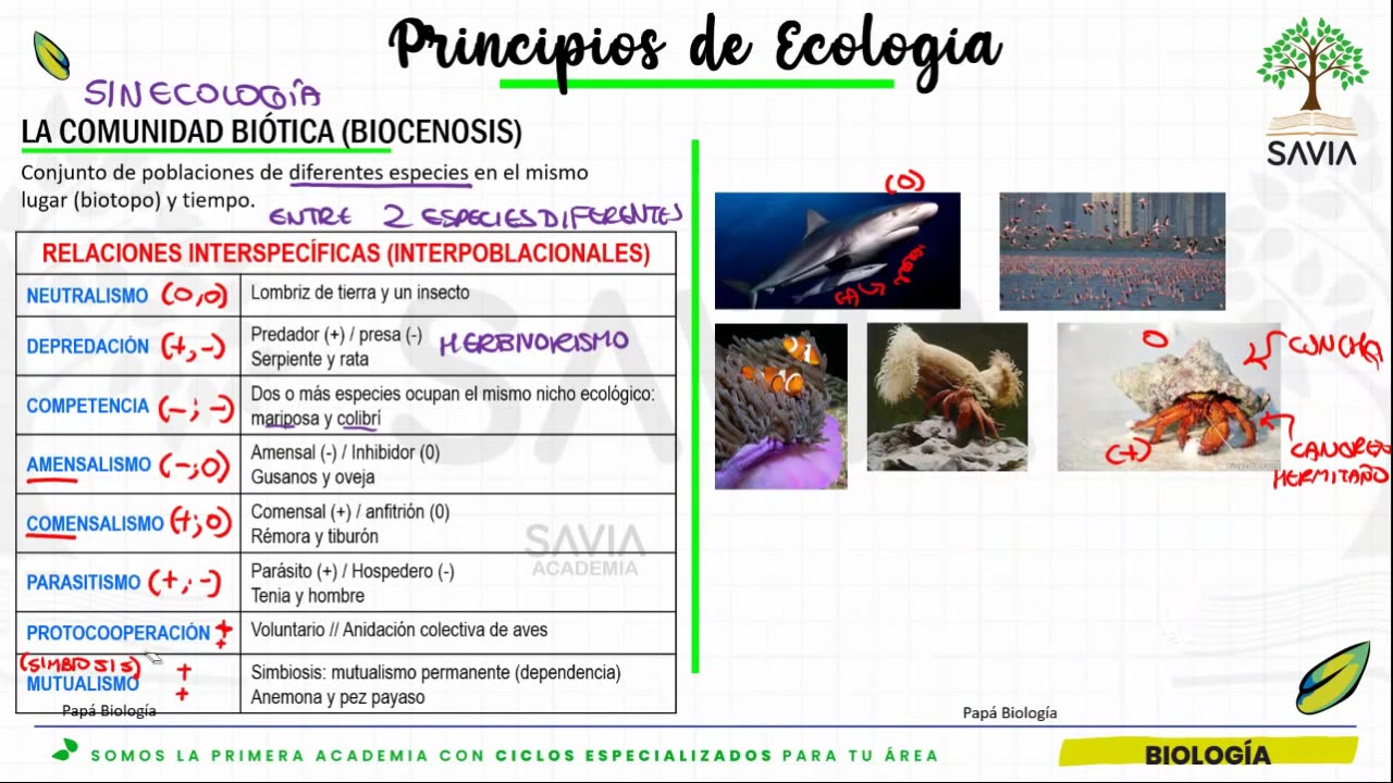 SAVIA SEMIANUAL 2024 | Semana 19 | Biología