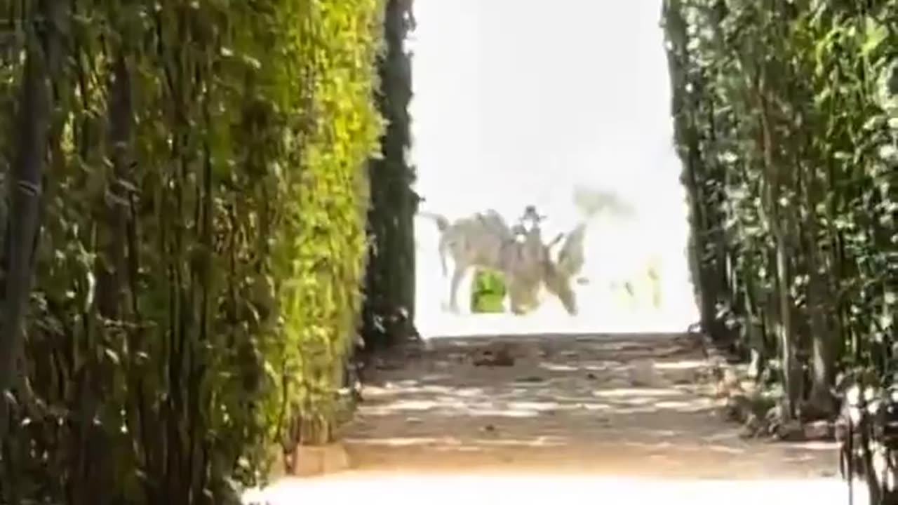 🤯🗺️ This Is The Most Famous Hole In Rome To View St. Peter's Basilica! | FeedMyCuriosity