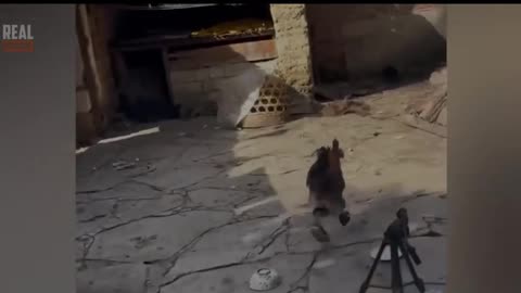 Karma