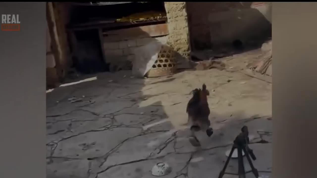 Karma