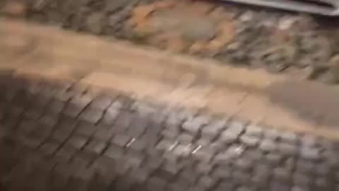 A fake asylum seeker dives into Rome's historic fountains to steal tourists' money,