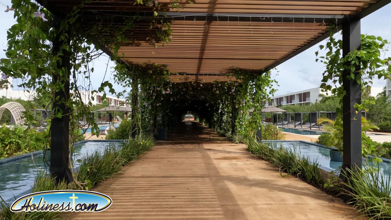 Live Aqua Grounds Walkthrough and Cool Fever Bakery