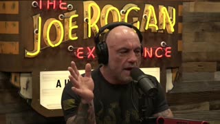 Replacing Citizens with Foreigners - Tim Dillon and Joe Rogan