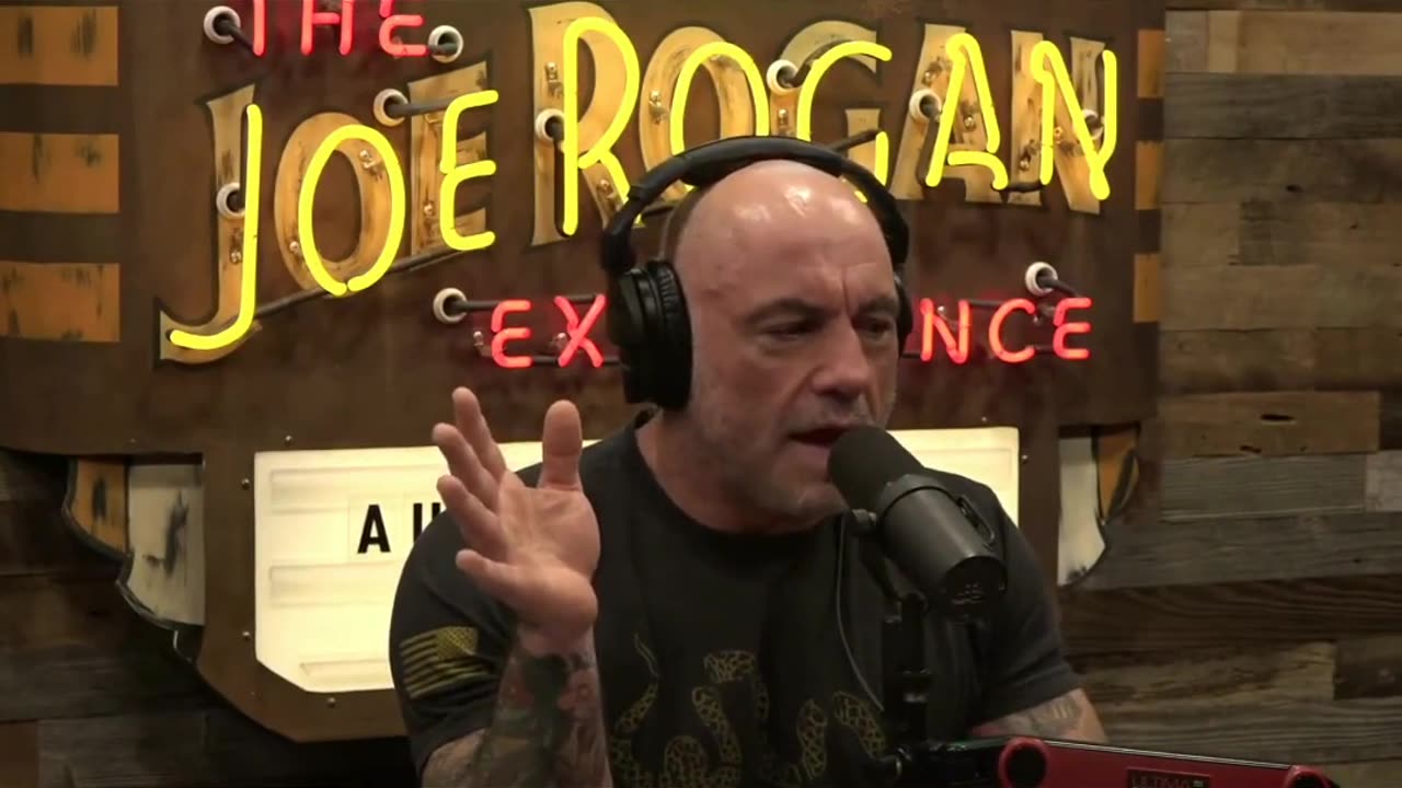 Replacing Citizens with Foreigners - Tim Dillon and Joe Rogan