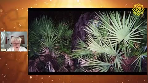 NEGATIVNÍ BYTOSTI MUSÍ ODEJÍT