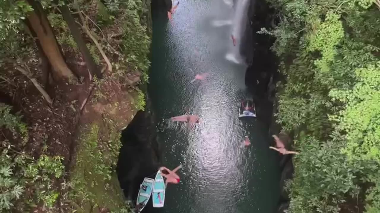Diving crowd