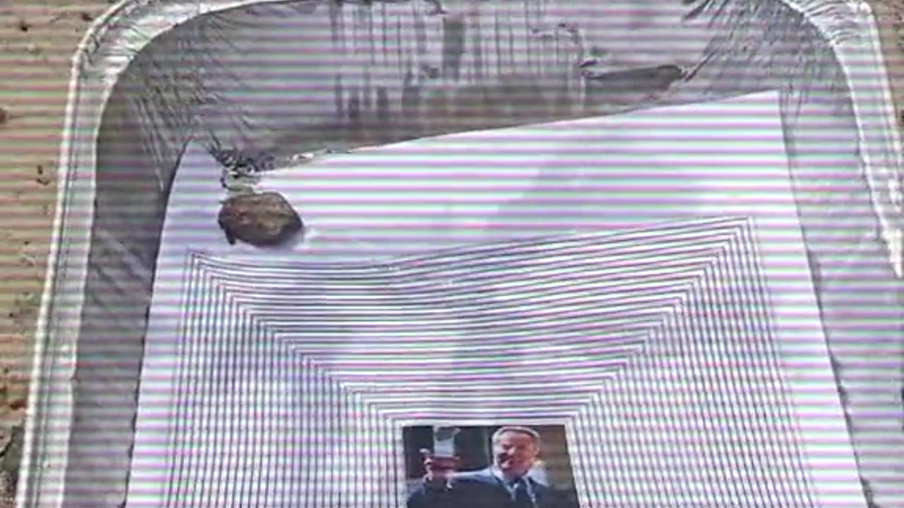 Tim Rifat TikTok Videos