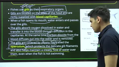 Science Life Process Lecture 4