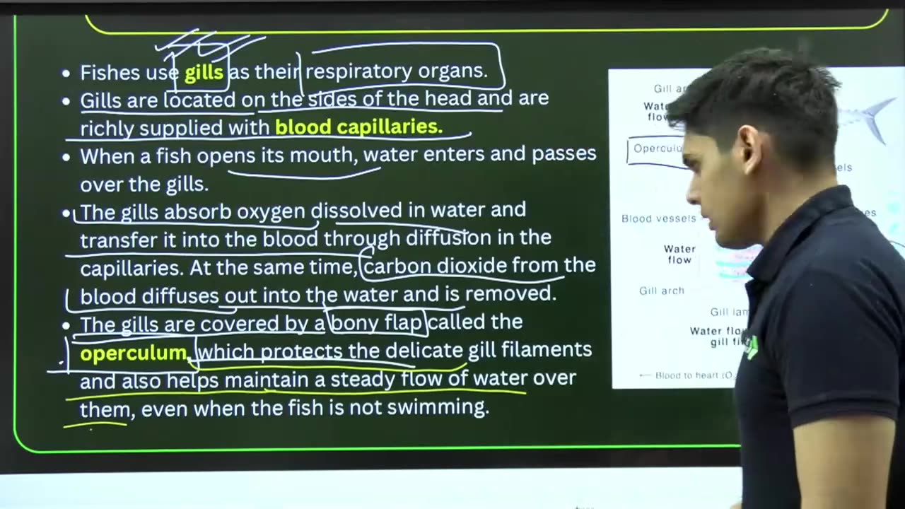 Science Life Process Lecture 4