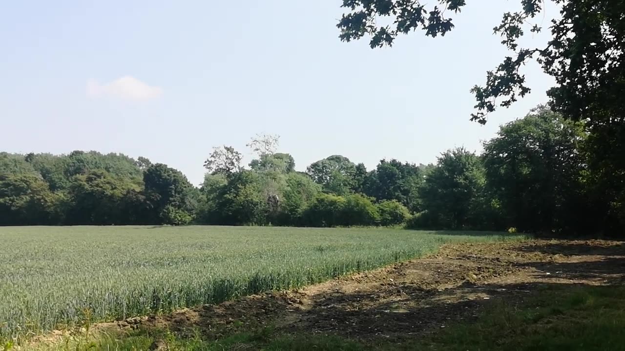 WILL 666 You / Escape In Time ? Get Out Alive 90 Seconds to Midnight 2