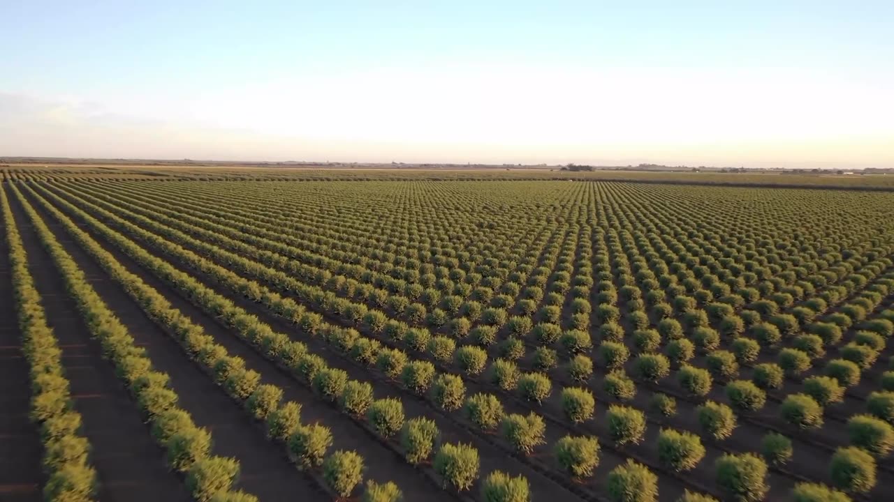 California Drone View Ultra HD