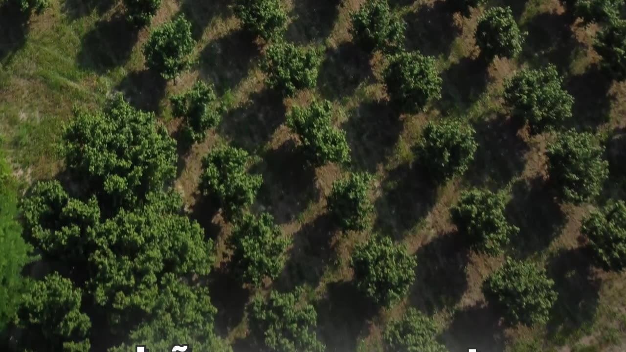 ¿Nutella más cara?