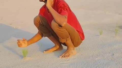 Funny video
